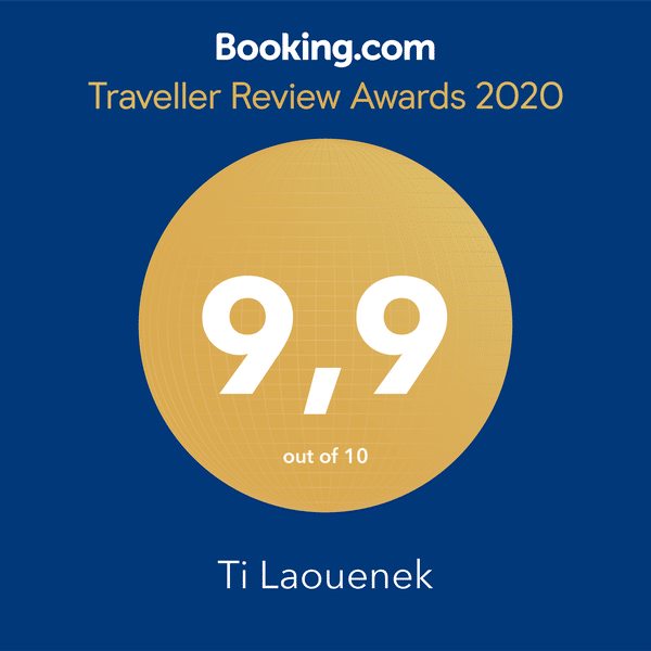 Booking Traveller Review Award 2020